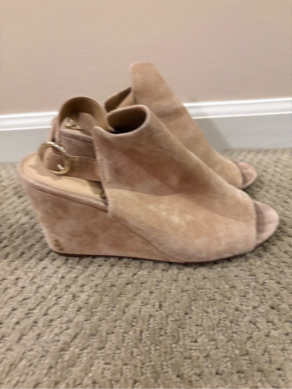 Sam Edelman Warick Suede Wedge Sandal